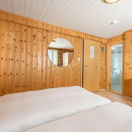 Hotel Alpina 2*