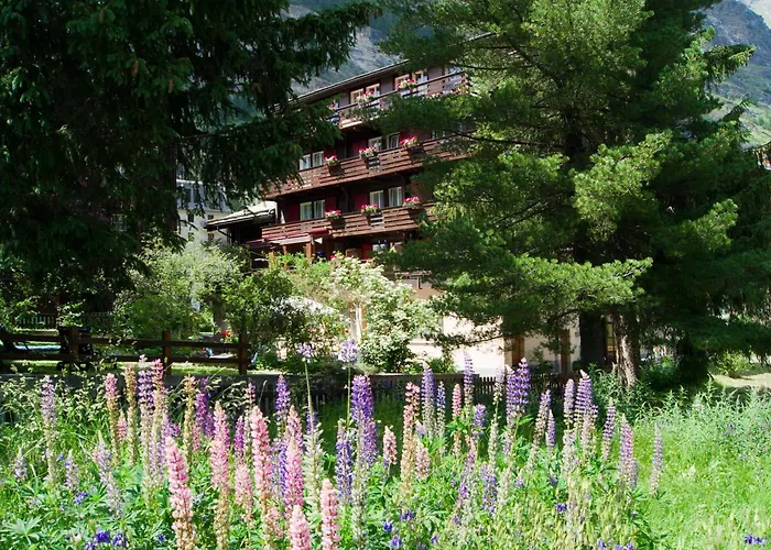 Alpina Hotel
